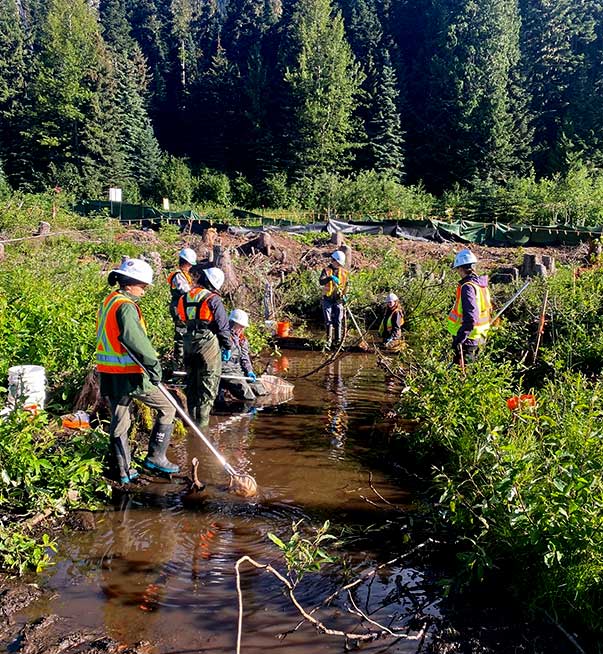 People from the community cleaning a creek