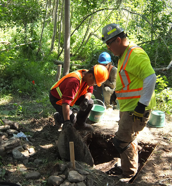 Professional Archaeological Services