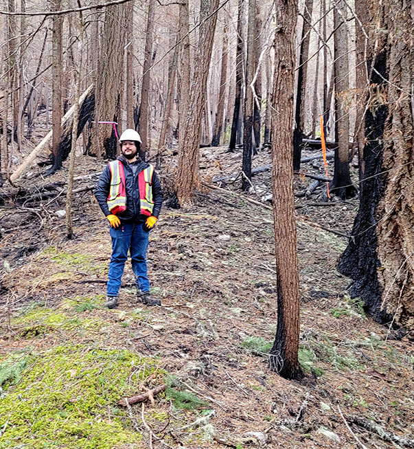 Forestry
