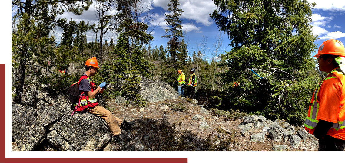 AEWLP workers in the forest