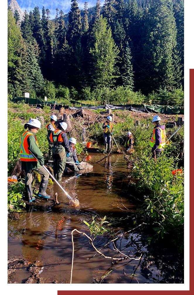 environmental workers cleaning creek