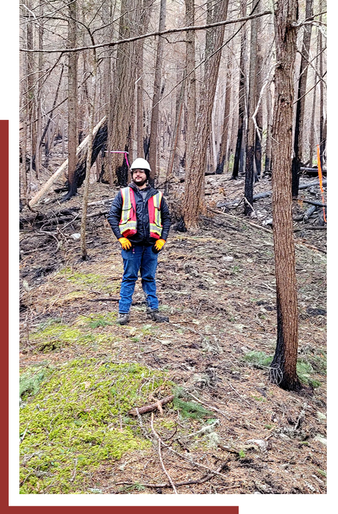 Forestry