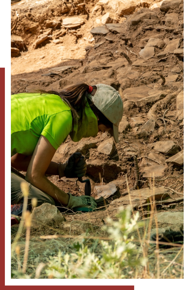 AEWLP archeology services