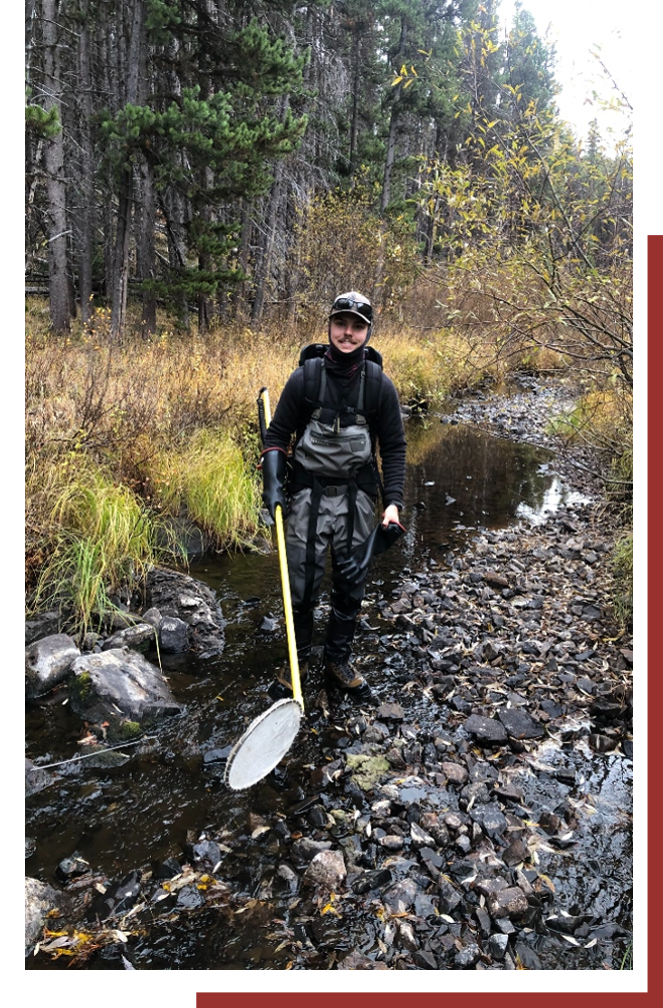 Man cleaning a creek