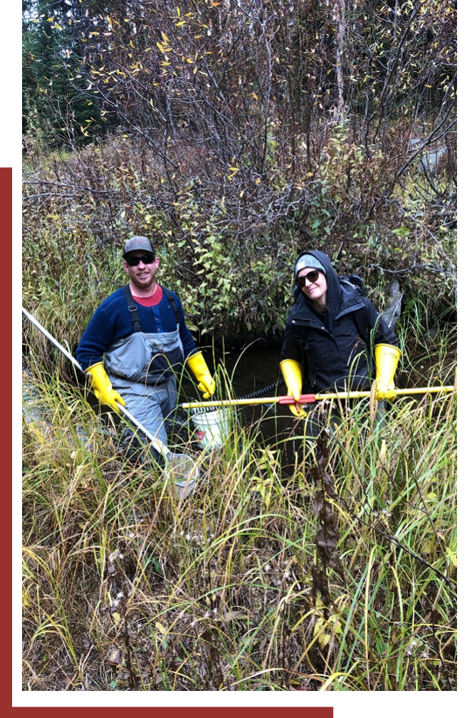 two people cleaning a creek