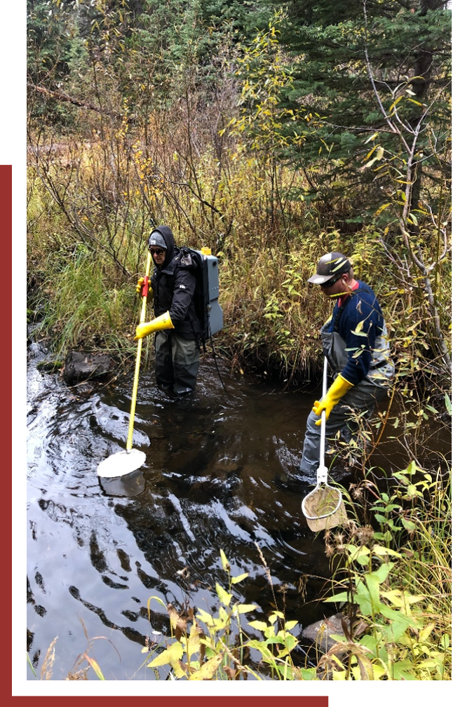 two men cleaning a river