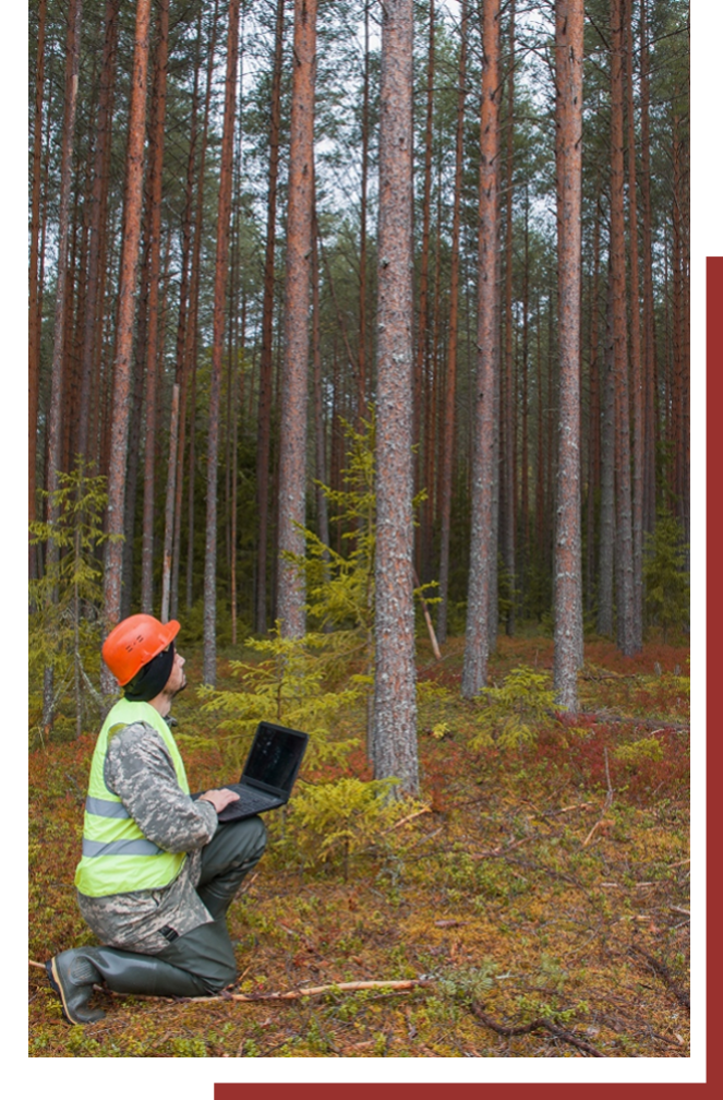 Forestry worker