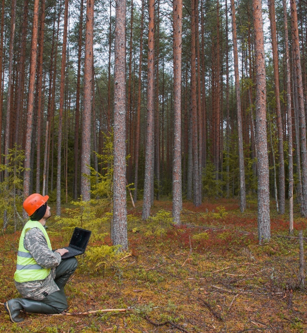 Forestry worker