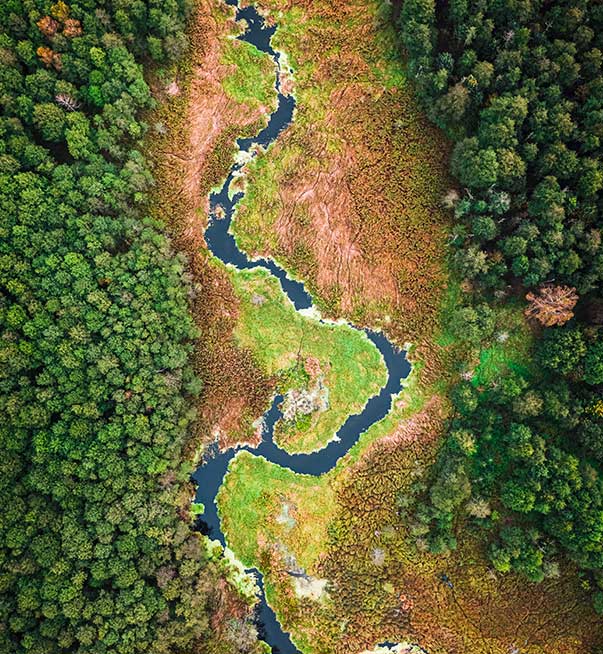 Environmental Assessments of land