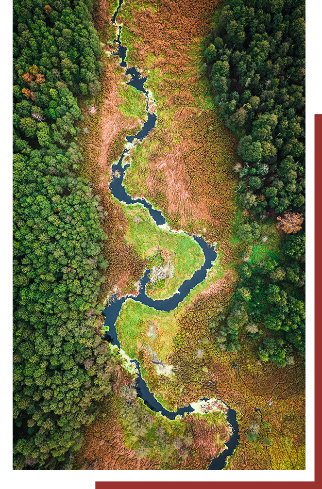 Aerial view of a river