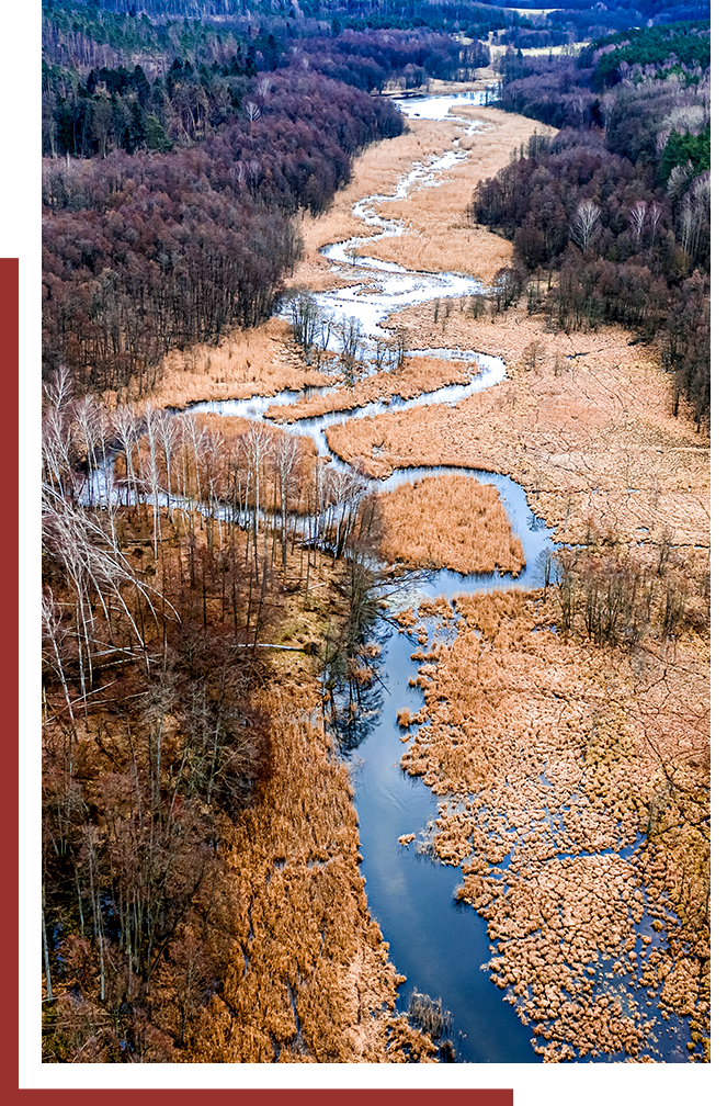 aerial view of a creek